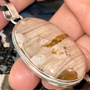 Earthy Tone Petrified Wood Pendant 2 1/2”